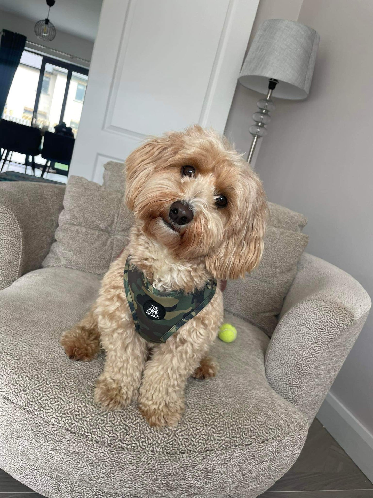 The Rambo - Harness