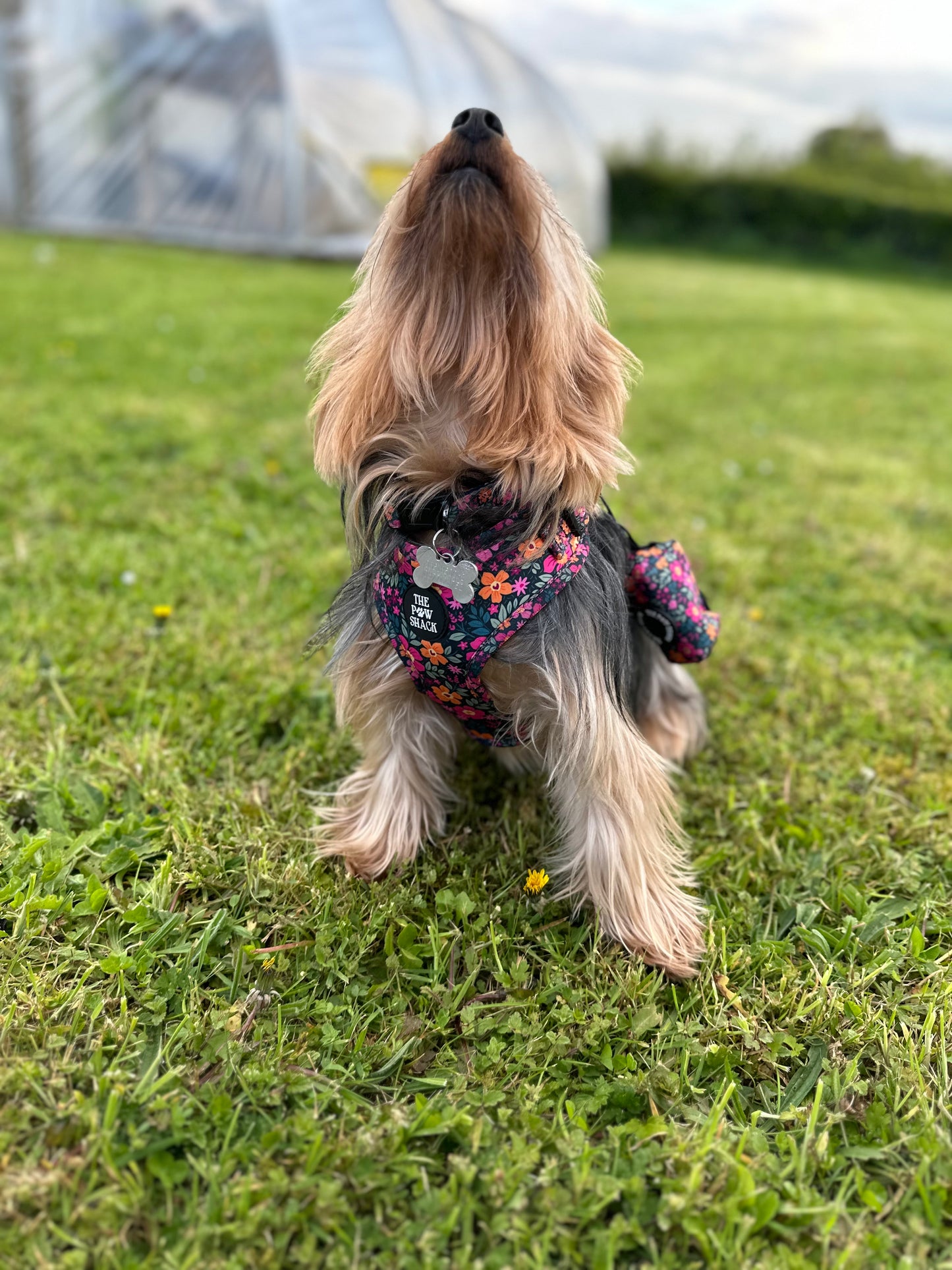 The Lulu - Poo Bag Holder