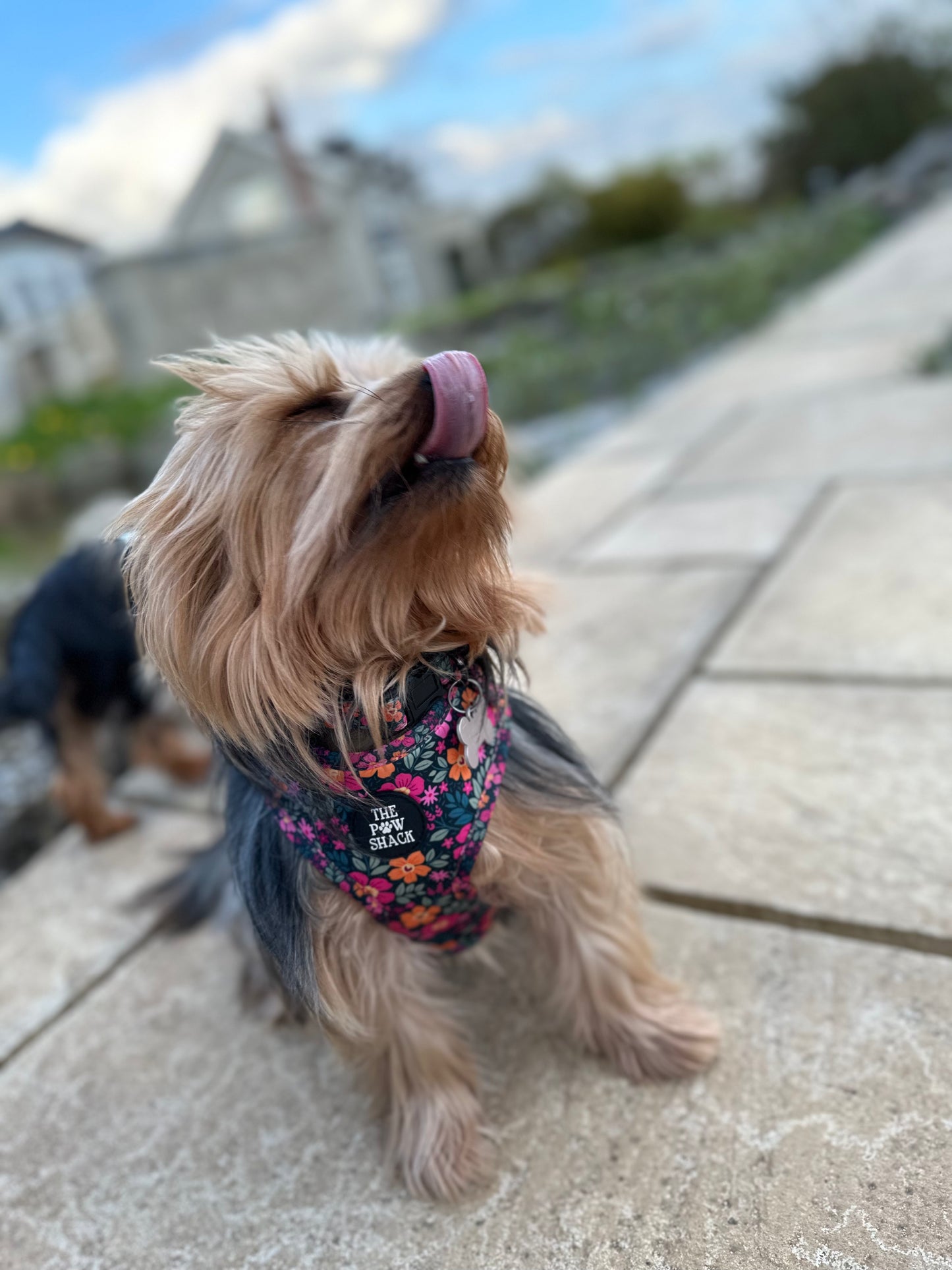The Lulu - Full Matching Set