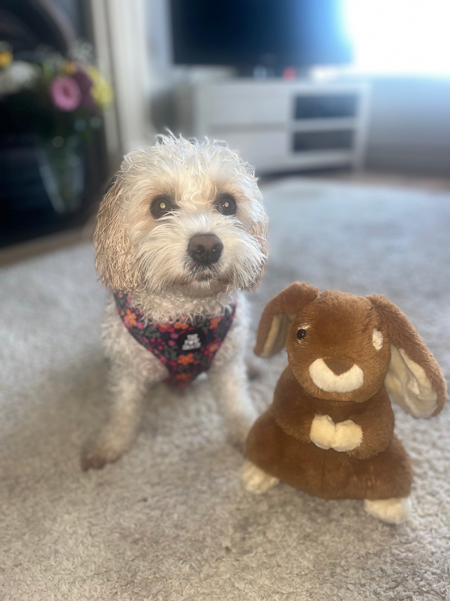 The Lulu - Full Matching Set