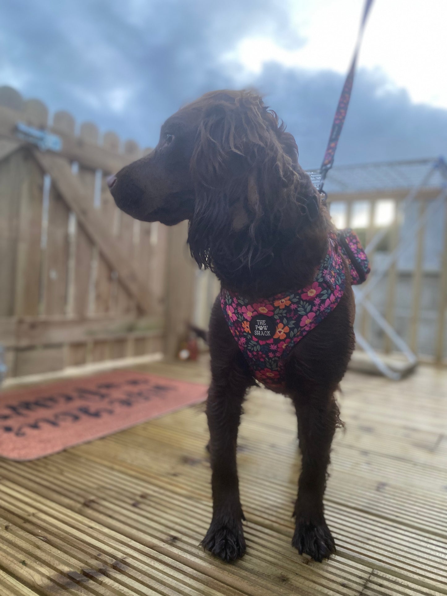 The Lulu - Full Matching Set