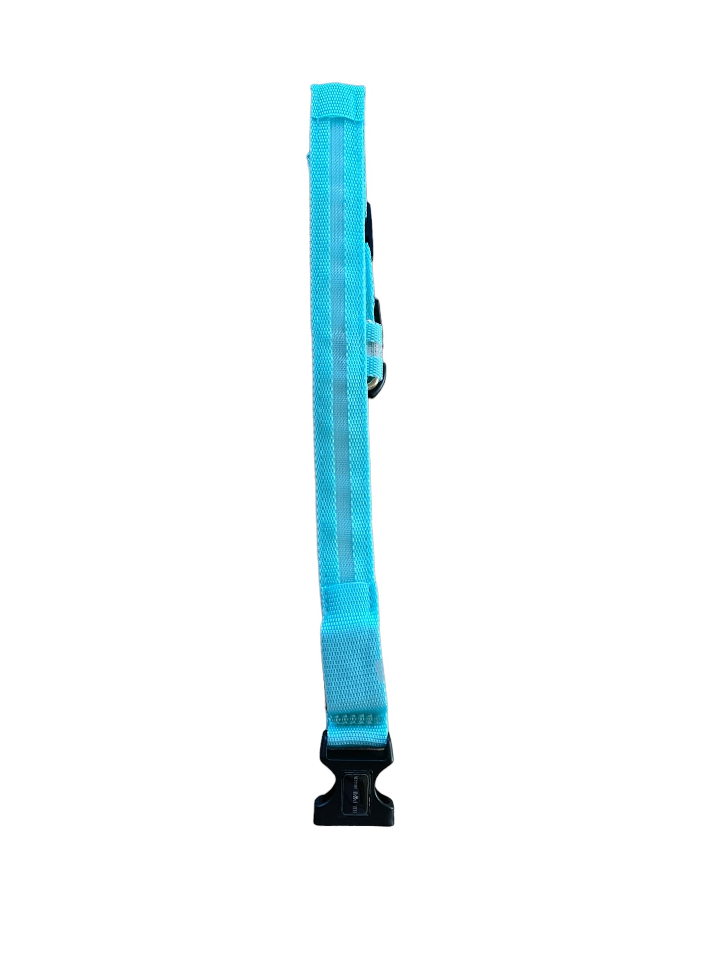 LED collars