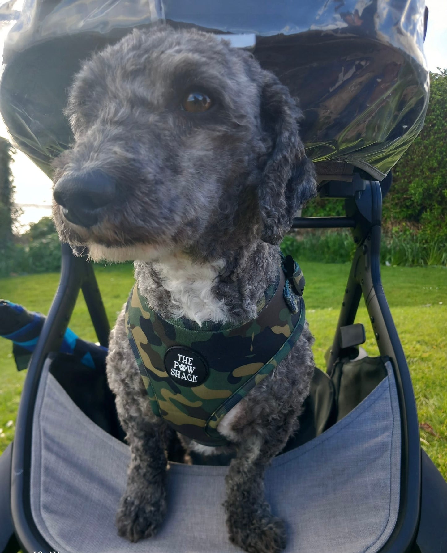 The Rambo - Harness