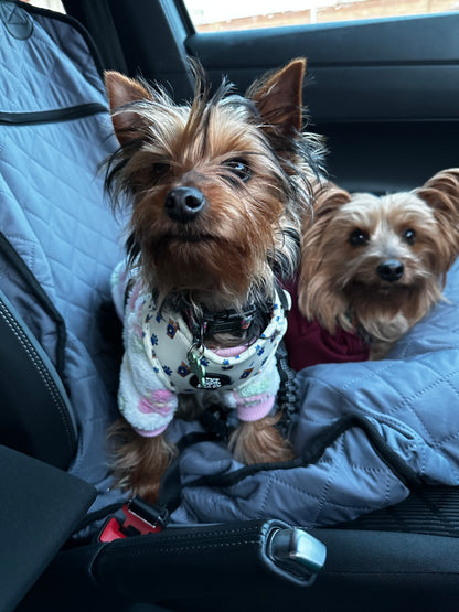 Pups & Cups - Collar