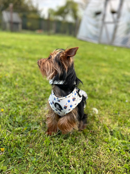 Pups & Cups - Collar
