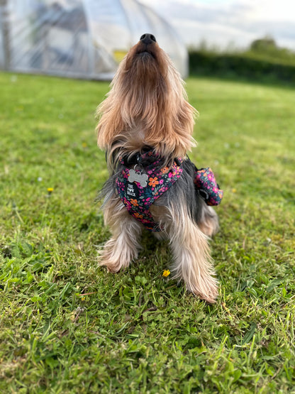 The Lulu - Poo Bag Holder