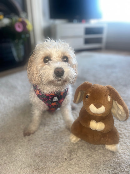The Lulu - Full Matching Set