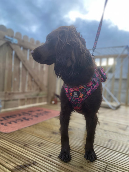 The Lulu - Full Matching Set