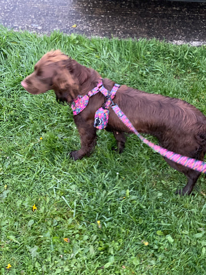 The Lulu - Full Matching Set