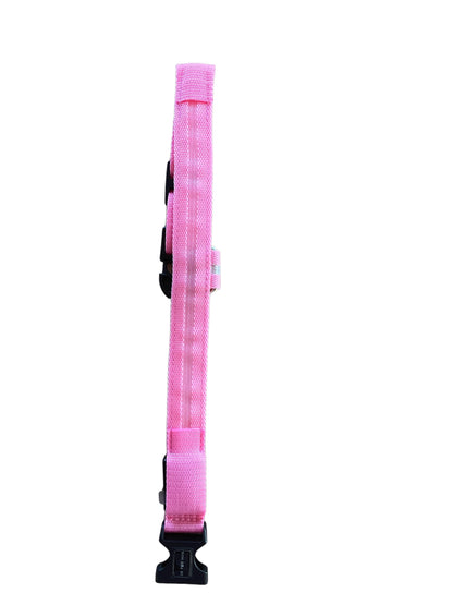 LED collars