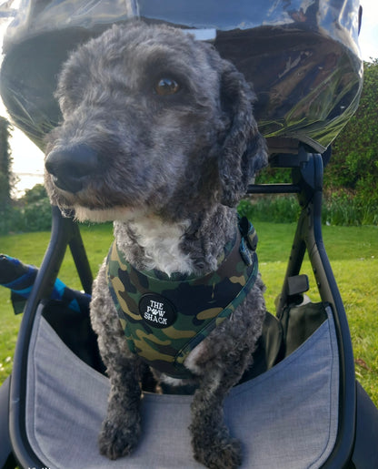 The Rambo - Harness